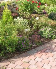 Simone Ibendorf Kräuterfrau Bild 2