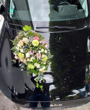 Fleurs de Lys de Beaugency image 7