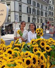 passive attack ag Bild 11