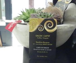 Salon Captif image 9