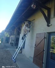 Bresse Nuisibles image 10