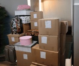 223013137-2-cUIblLYMmb1724052856099.png