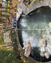 LUTZ Gartendesign GmbH Bild 12