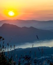 Victor MARINE image 4