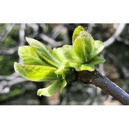 Gesundheitspraxis Alvita Thusis