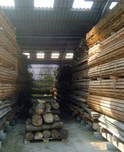 Holland GmbH Bild 1
