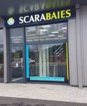 Scarabaies image 9