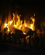 Brennholz Granz Bild 7