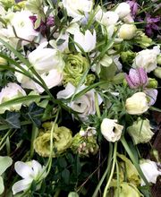 Guyard Benoît image 8