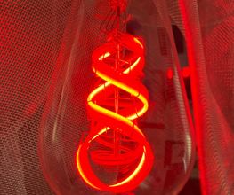 Lichtraum LRM LED Flächenlicht Bild 1