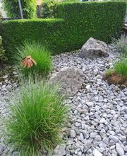 Bruno Winet, Privatgärtner Bild 2