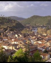 Agence Vigne image 6