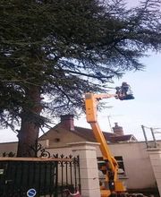 GEP Services image 2