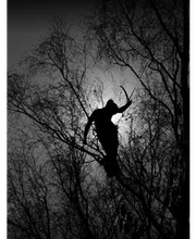 Baumglück Baumpflege GmbH Bild 9