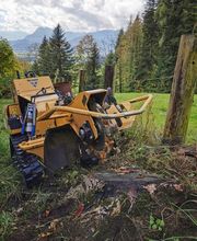 Baumstumpffräsen Tobias Baier Bild 10