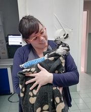 Centro Veterinario Maccauro immagine 9