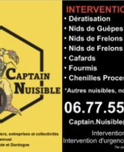 Captain Nuisible image 9