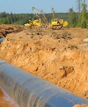 Cartillier Bernard image 1