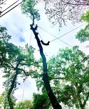 Jean-David Durand Lombard image 2