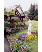 Büchner Gärtnerei und Blumengeschäft Bild 4