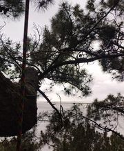 Beaudout Raphael image 20