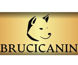Brucicanin image 4