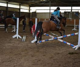 Reitschule Lautlos Bild 16