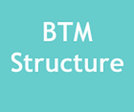 BTM Structure image 1