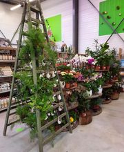 Le Repère des Curieux Lutins image 3