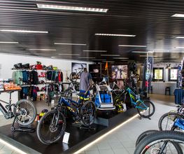 Gallery Cliente
