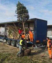AKM Landschaft + Garten Bild 2