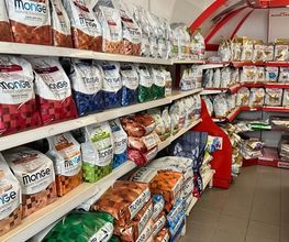 Qua la Zampa di Alessia Milani Termini Bild 8