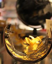 Frank Daniel Bild 20