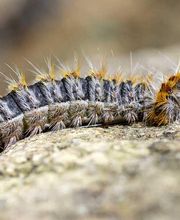 CIADIT SUISSE SA Bild 7