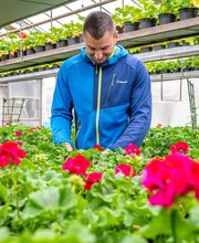 Fleurs Stempfler image 4