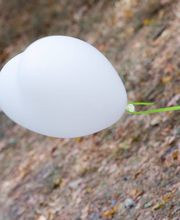 Vom Leben bewegt - Mitten im Alltag, Marcus Wiedemann, Freier Theologe und Redner Bild 8