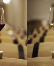 Boillot Henri image 3