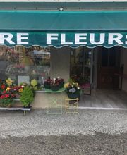 Aure Fleurs image 1