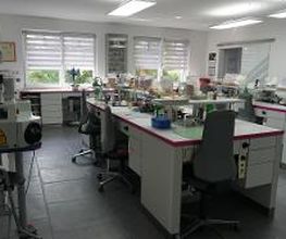 Dentallabor Georgiev Bild 3