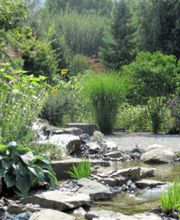 Müko Gartengestaltung AG Bild 1