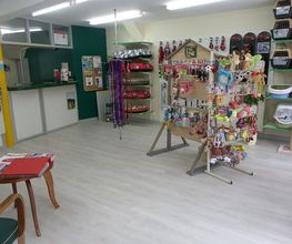 Chien Chic image 2