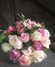 Pougary Marie image 11