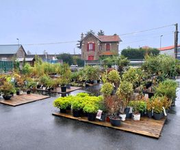 GAMM VERT image 7