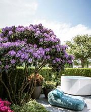 Relaxbereich beim Pool