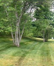 Brace Lawn Care image 12