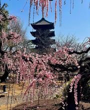 ATELIER DES VOYAGES image 2