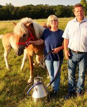 Vogelsberger Stutenmilch Bild 3