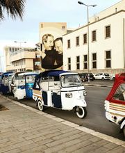 Gallery Cliente