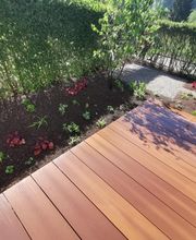 Bison Gartenbau AG Bild 12