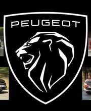 ETS LAFFITTE image 18